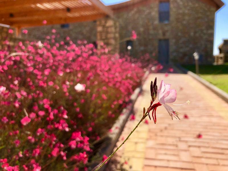 Estrella Villas Lárdosz Kültér fotó