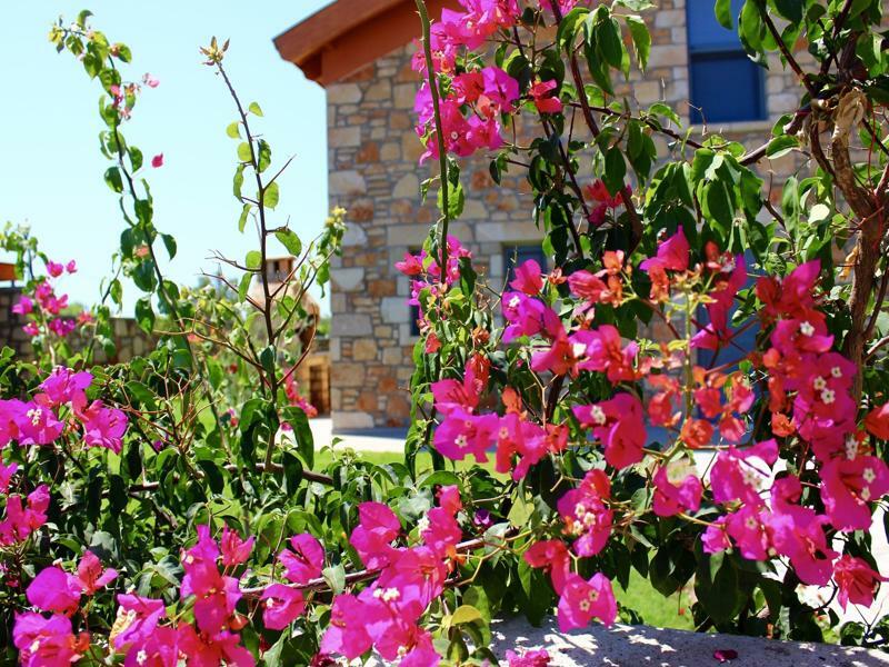 Estrella Villas Lárdosz Kültér fotó